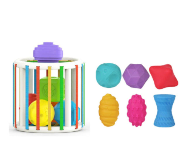 Montessori Shape Sorting Box