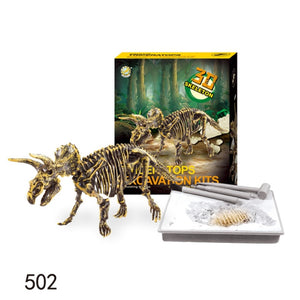 Dinosaur Excavation Kit