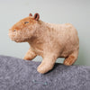 Little Capybara Plush