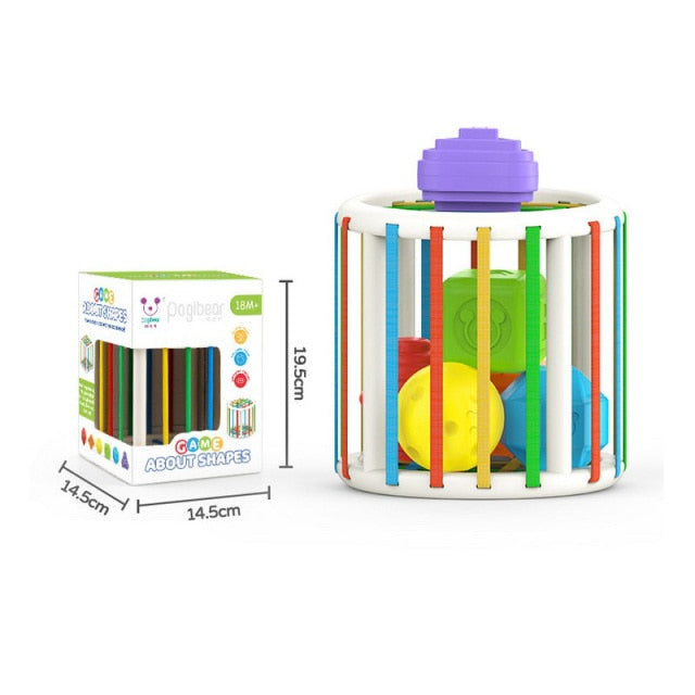 Montessori Shape Sorting Box