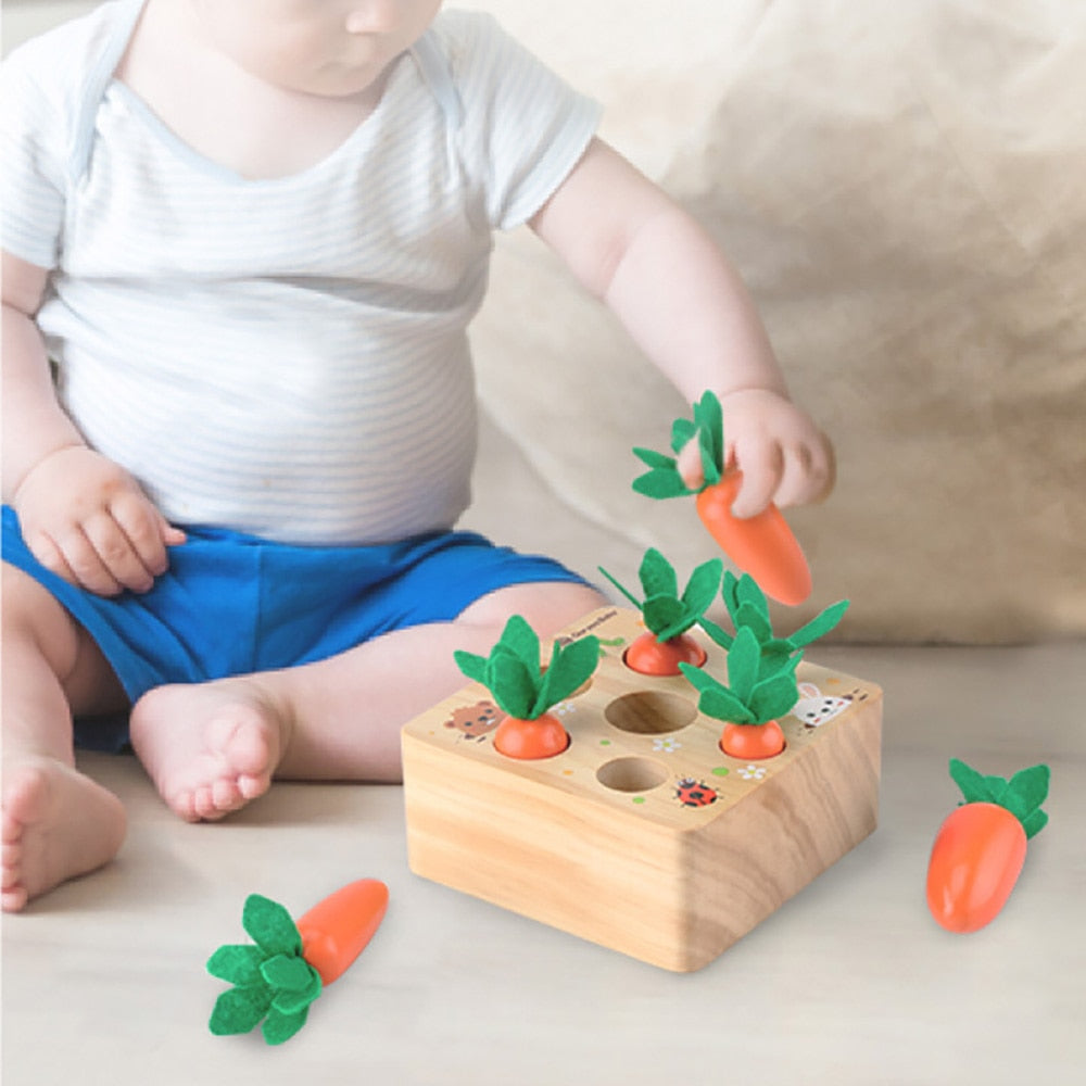 Montessori Carrot Harvesting Toy