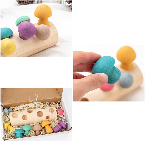 Wooden Mushroom Picking Toy