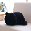 Napping Cat Plush