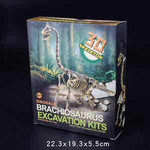 Dinosaur Excavation Kit