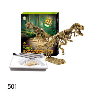 Dinosaur Excavation Kit