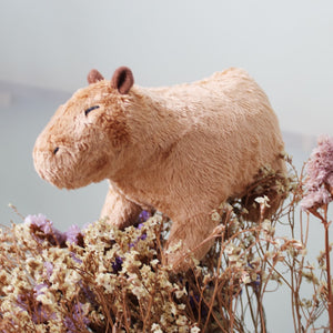 Little Capybara Plush