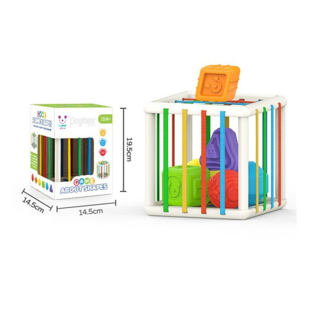 Montessori Shape Sorting Box