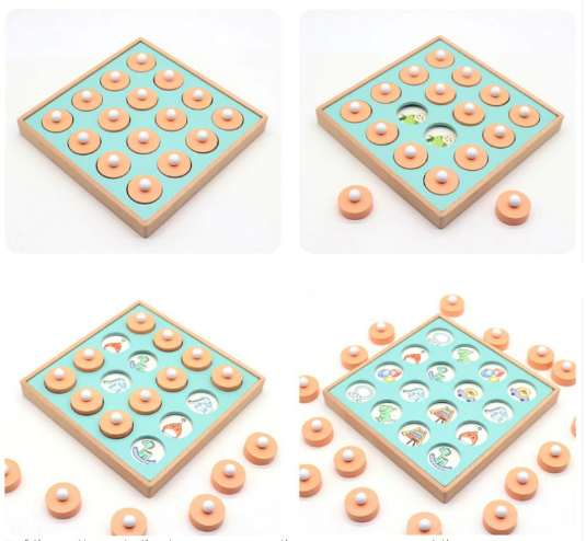 Montessori Memory Match